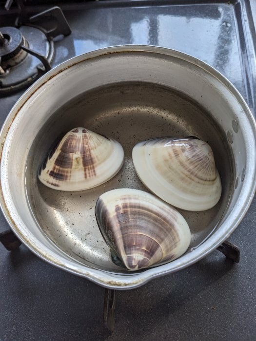 食事写真