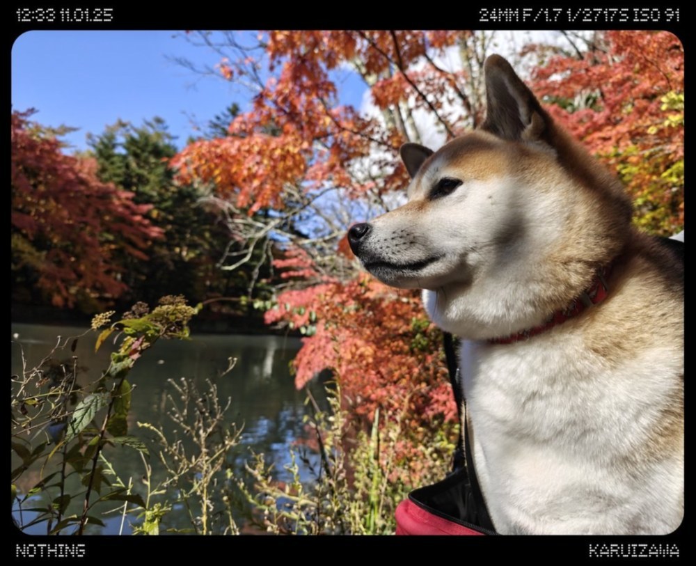 Phone(3)で撮った写真