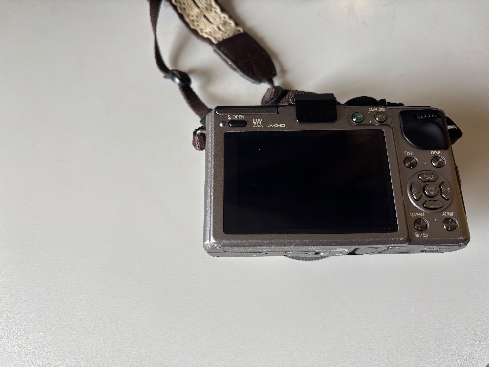 Panasonic(パナソニック) DMC-GX1 レビュー写真2