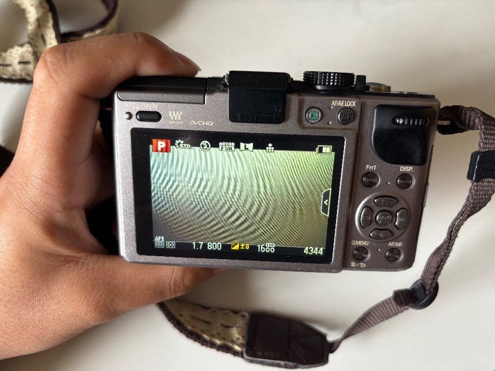 Panasonic(パナソニック) DMC-GX1 レビュー写真4