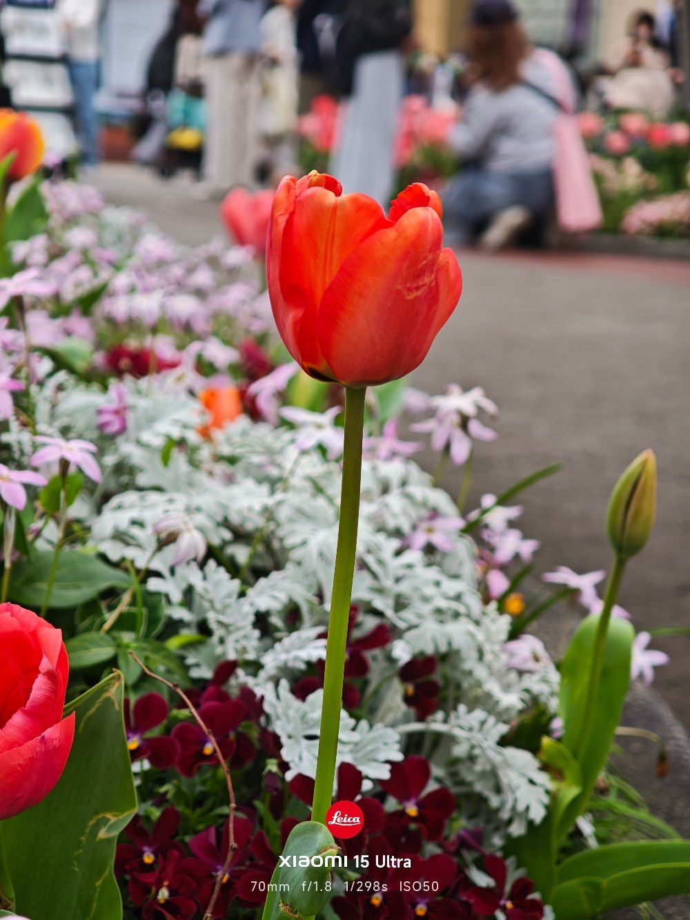 xiaomi Xiaomi 15 Ultra レビュー写真3