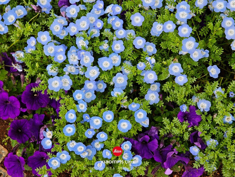 xiaomi Xiaomi 15 Ultra レビュー写真5