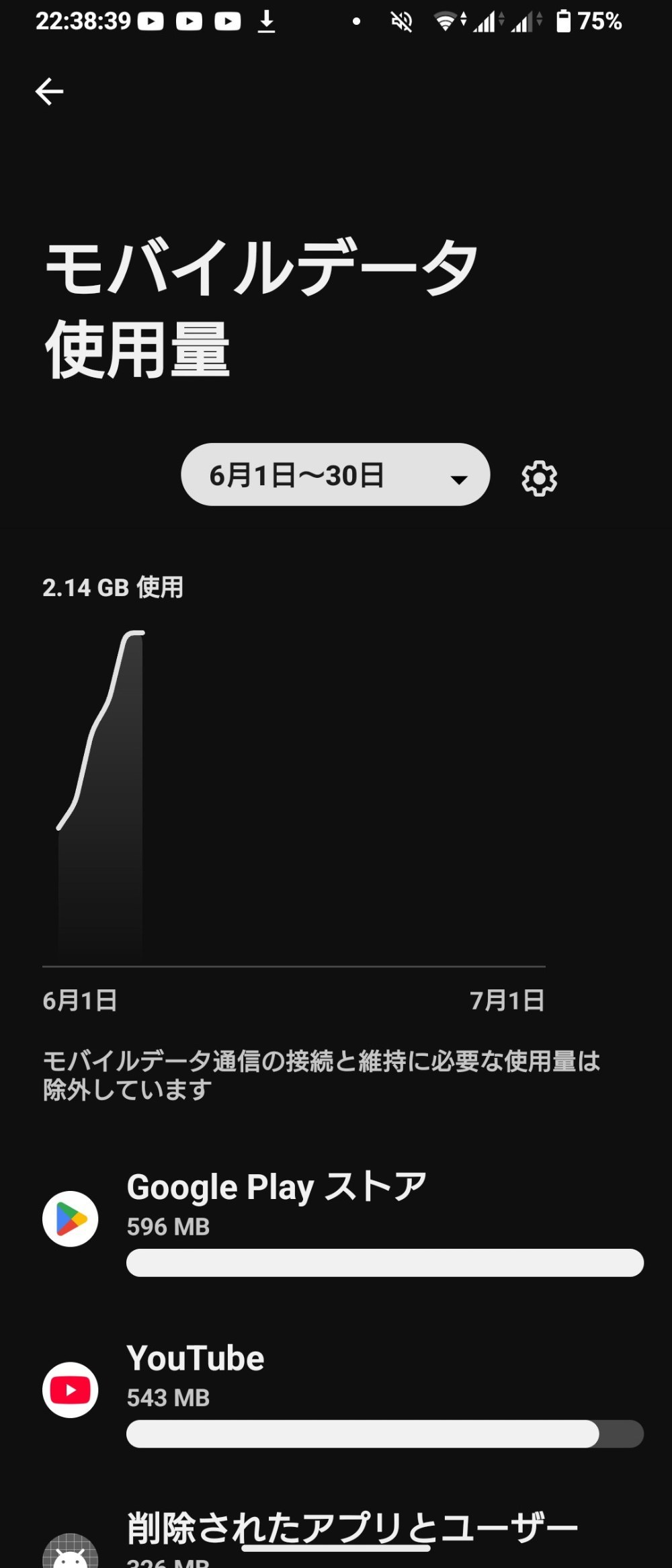 レビュー写真2