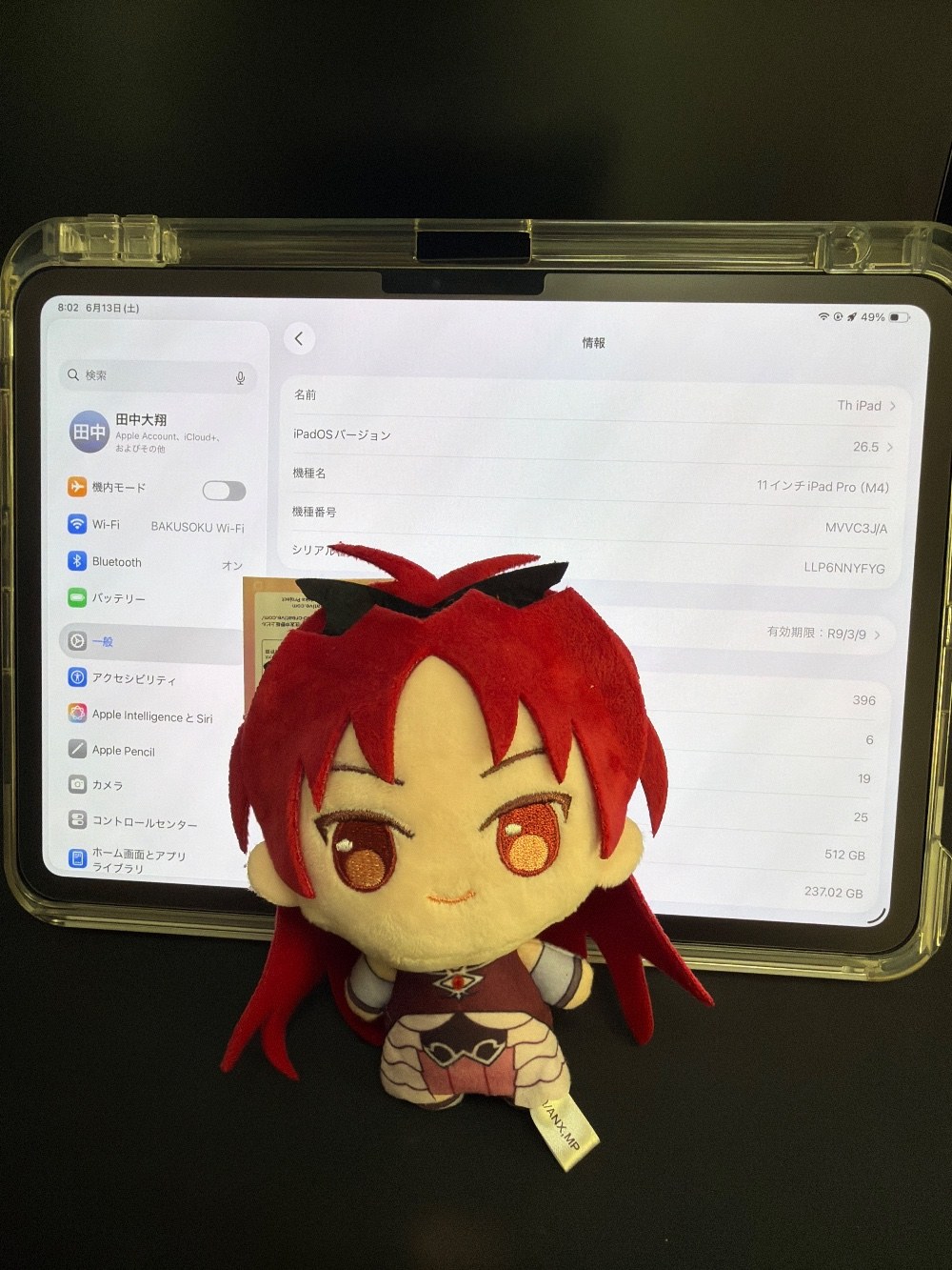 Apple Ipad pro M4 512GB 8GB レビュー写真3
