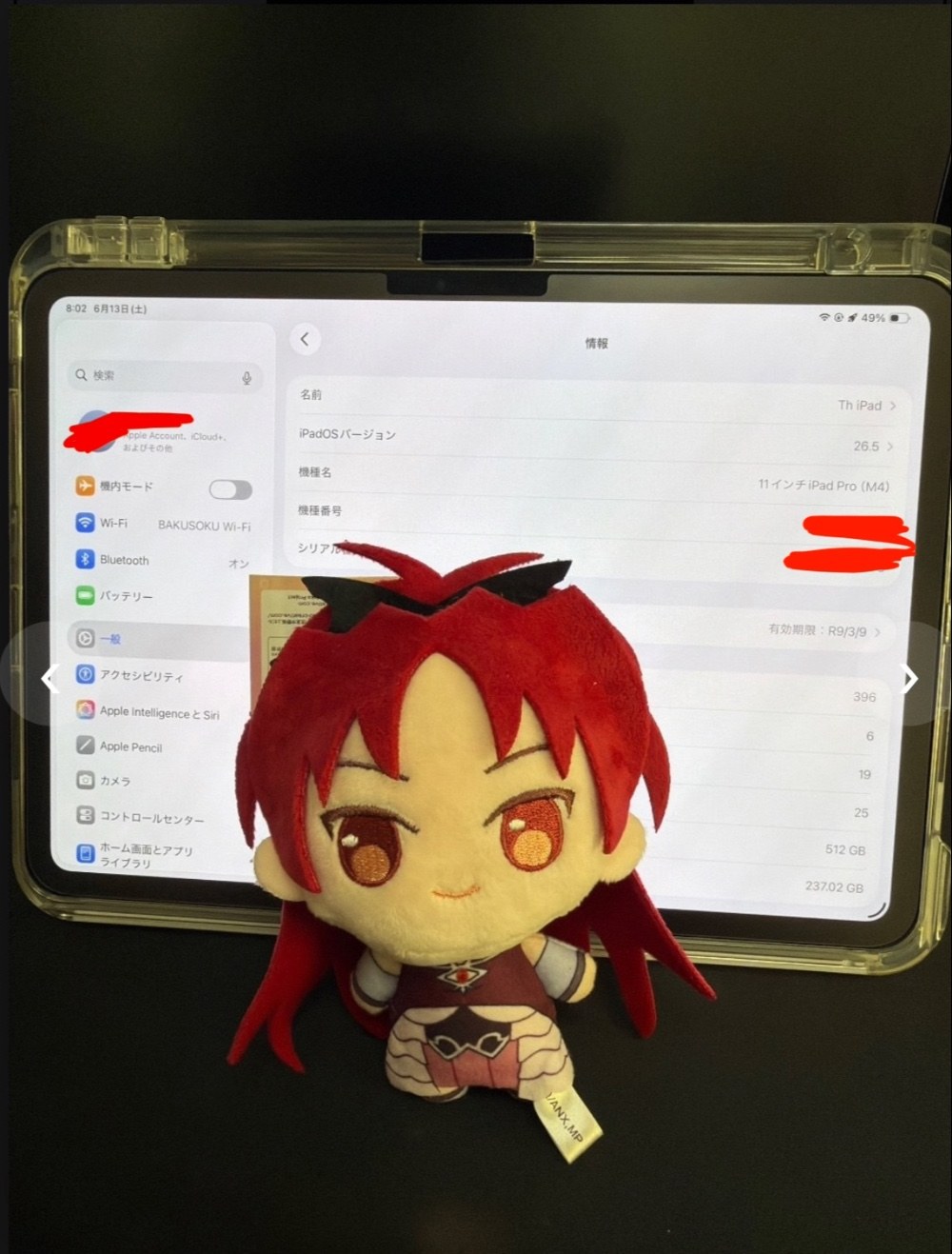 Apple Ipad pro M4 512GB 8GB レビュー写真4