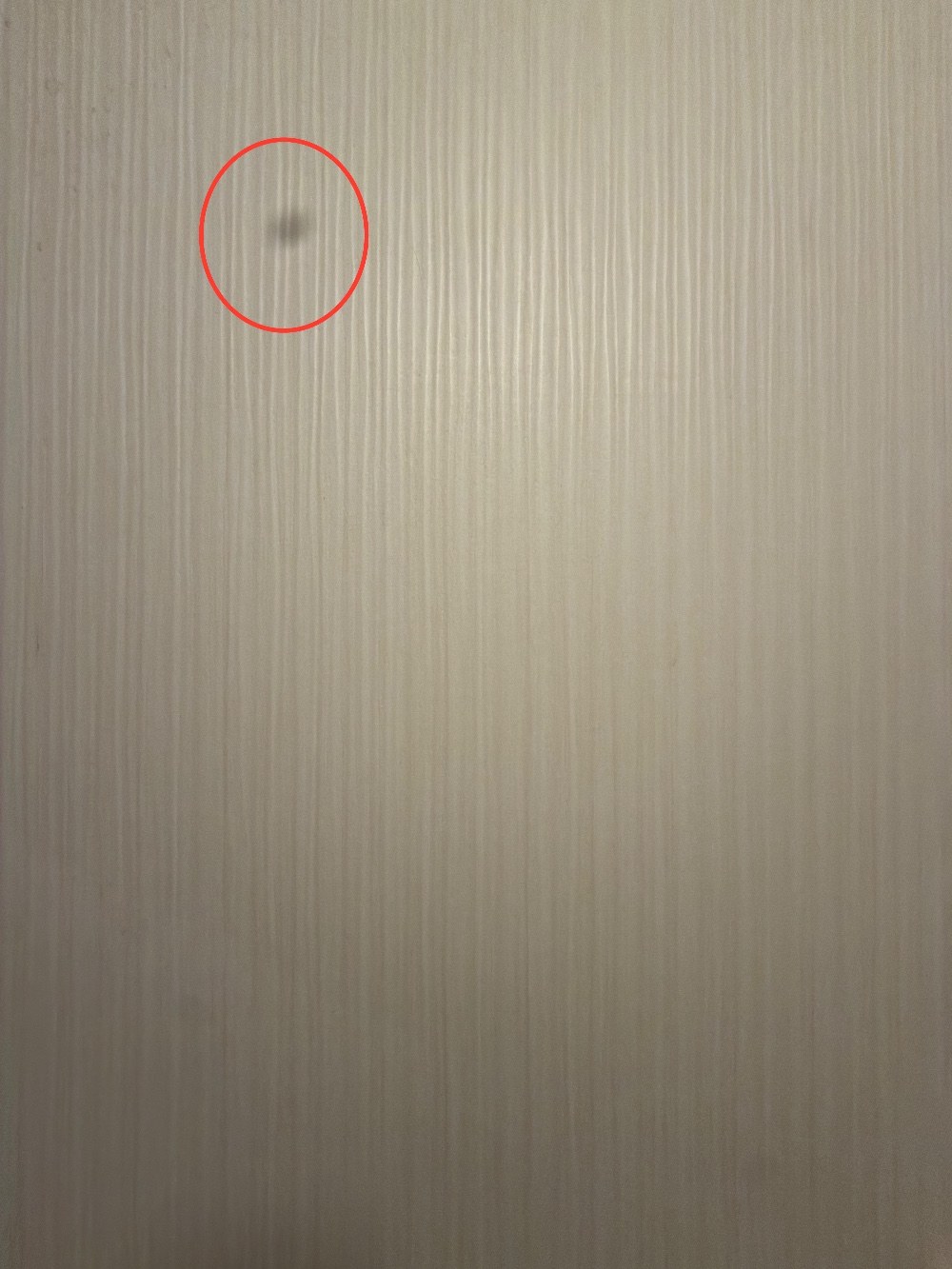 なんか写り込んでるくね？