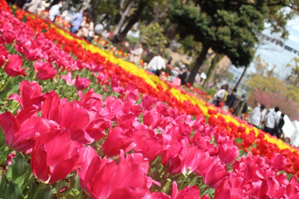 Canon EOS M EF-M18-55レンズキット レビュー写真6