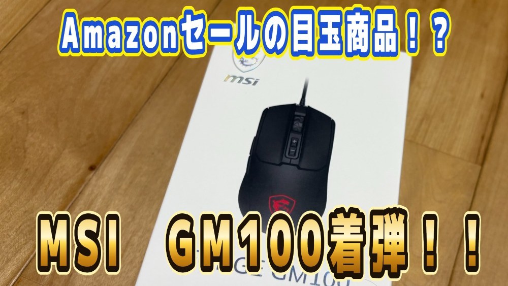 MSI GM100 レビュー写真1