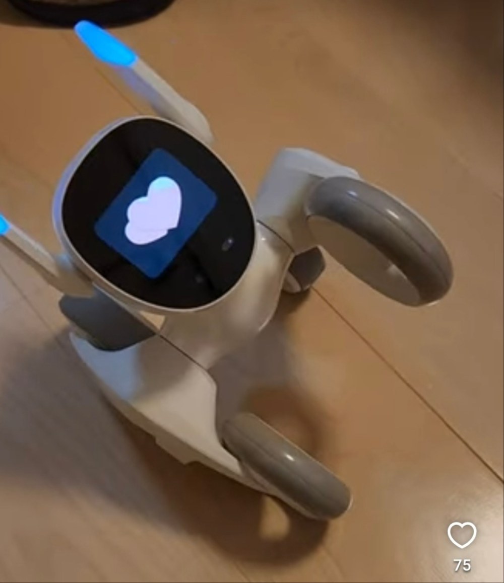 Anker Loona Blue（ルーナ ブルー） レビュー写真3