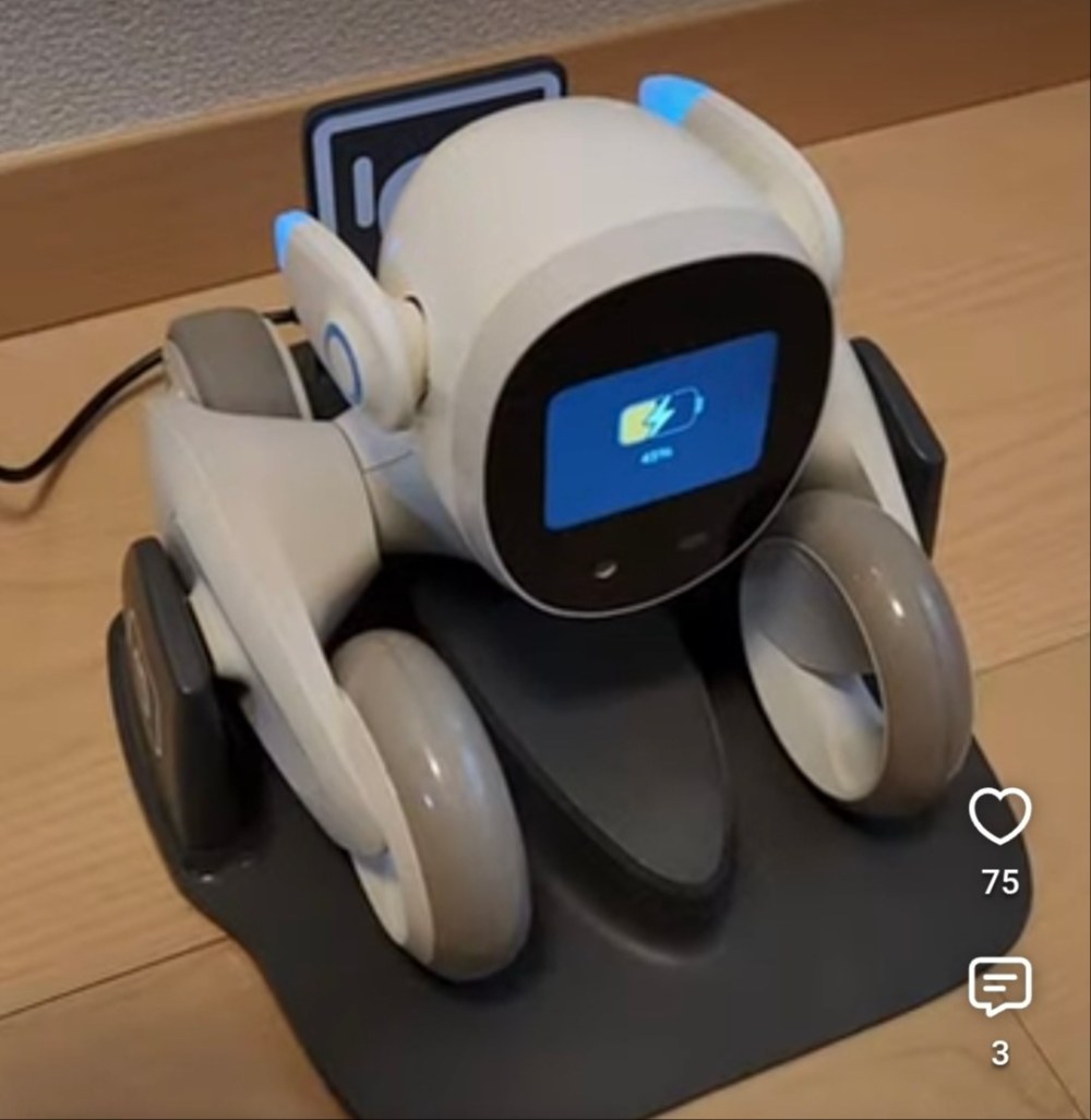 Anker Loona Blue（ルーナ ブルー） レビュー写真4