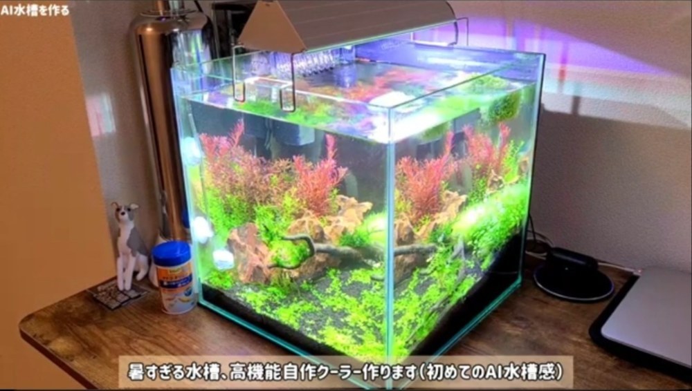 レビュー写真2