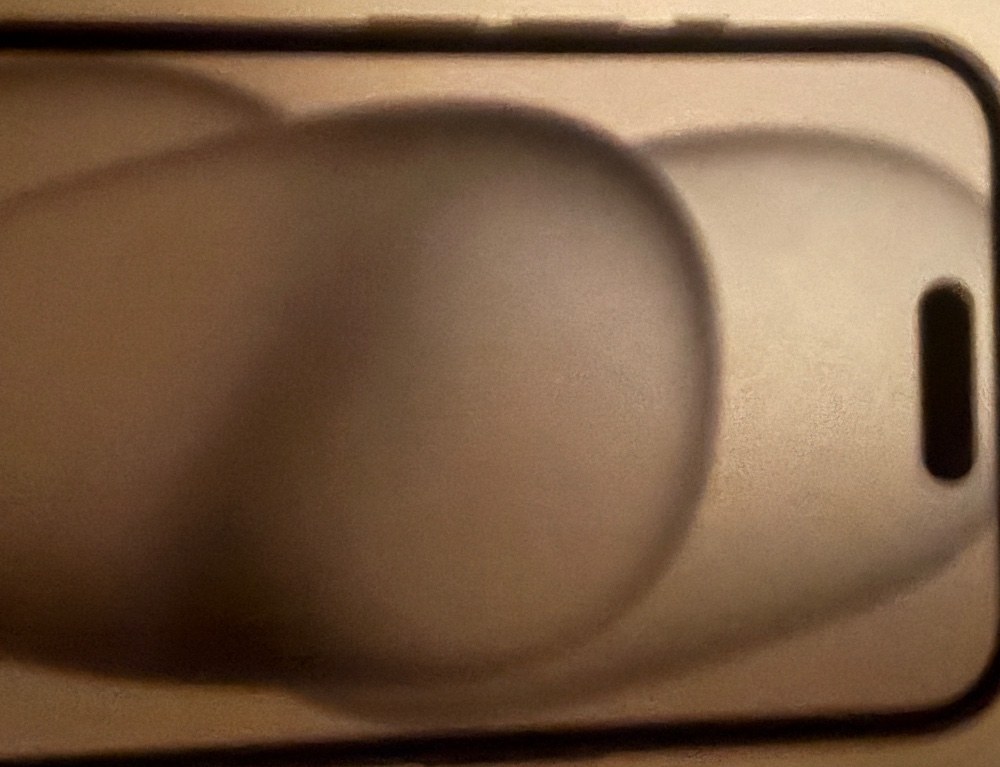 レビュー写真1