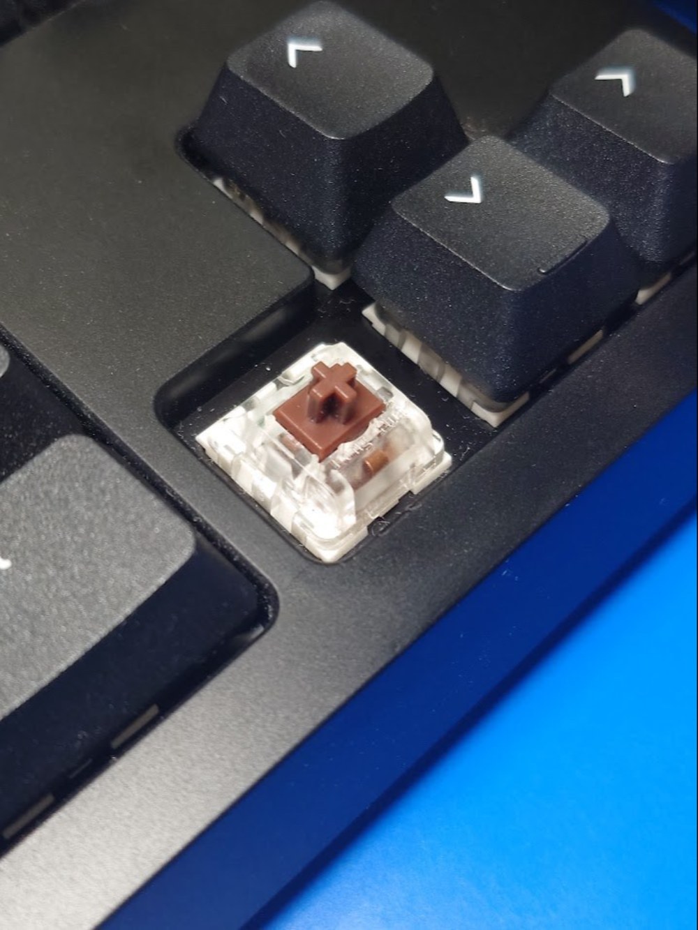 軸を確認。