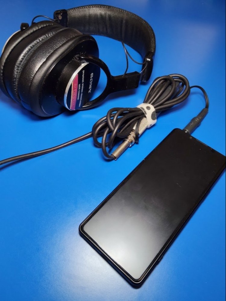 スマホで聞いてみる。