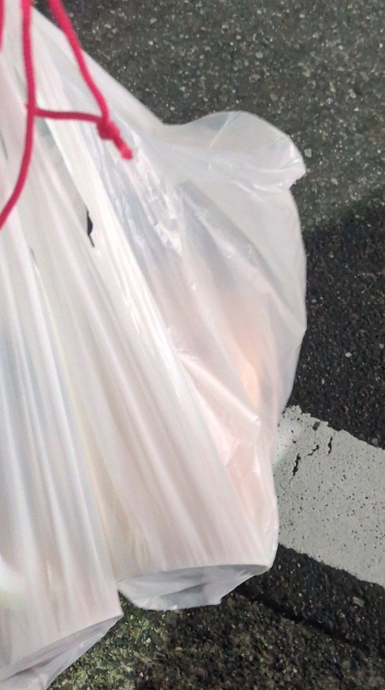 持ち帰る時　職質怖すぎ問題