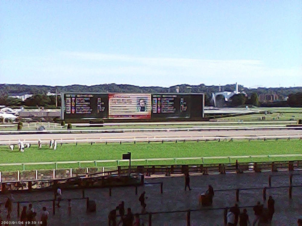 東京競馬場で撮影してみた