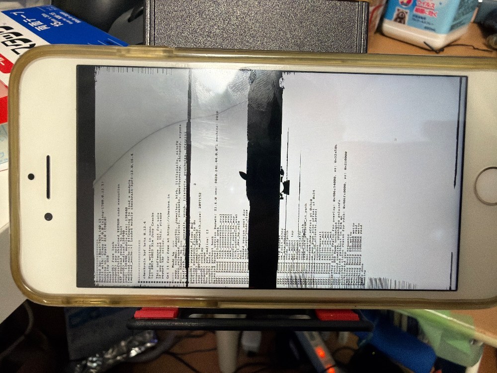 写真は再起動して2回目の脱獄