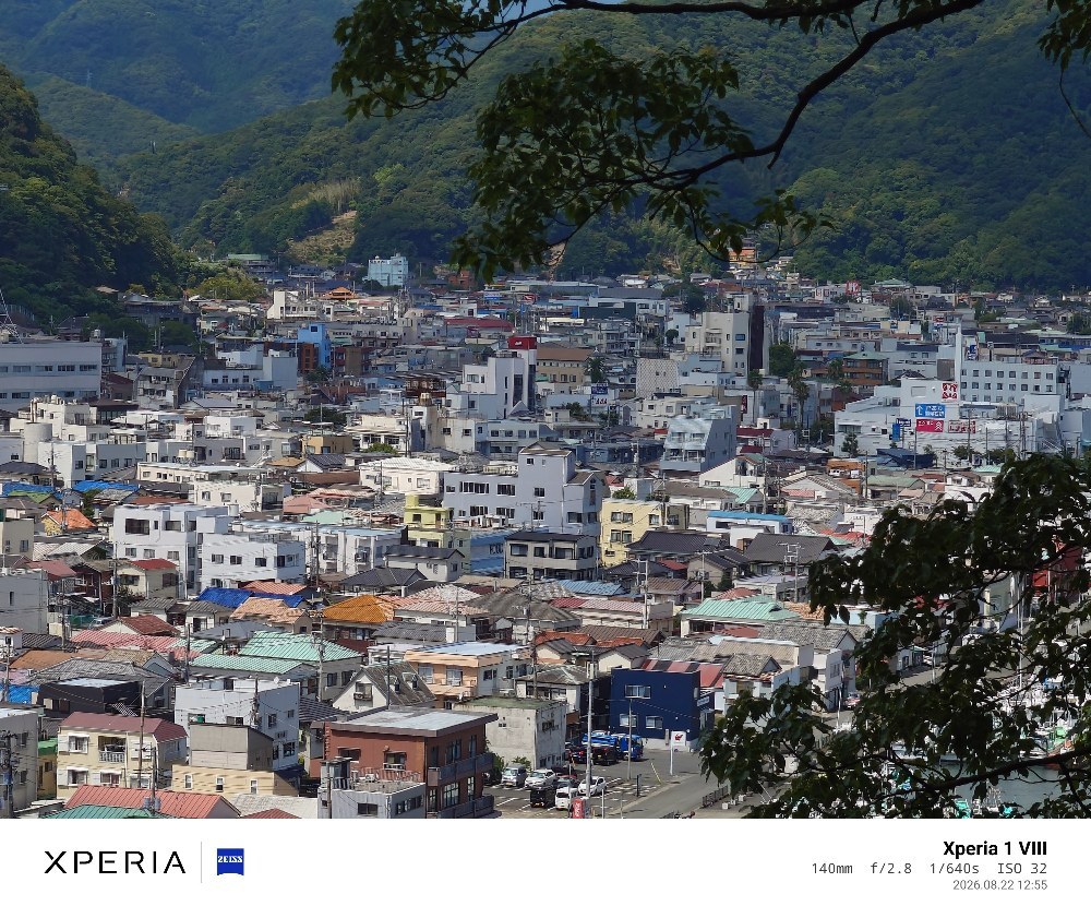 1 viii 望遠 クロップ
