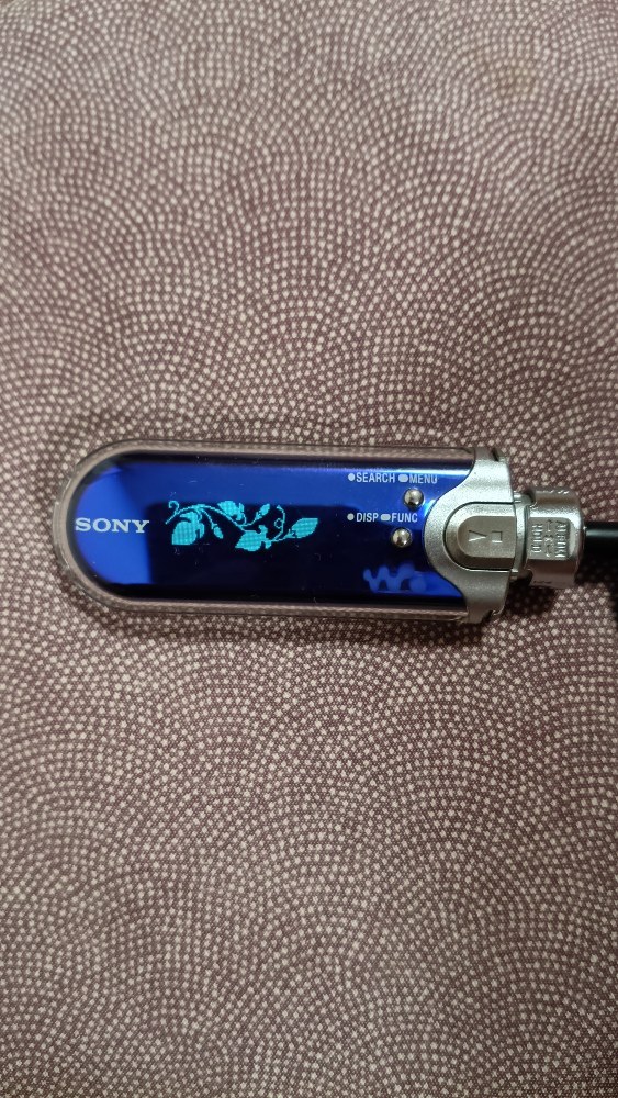 SONY NW-A605 レビュー写真4