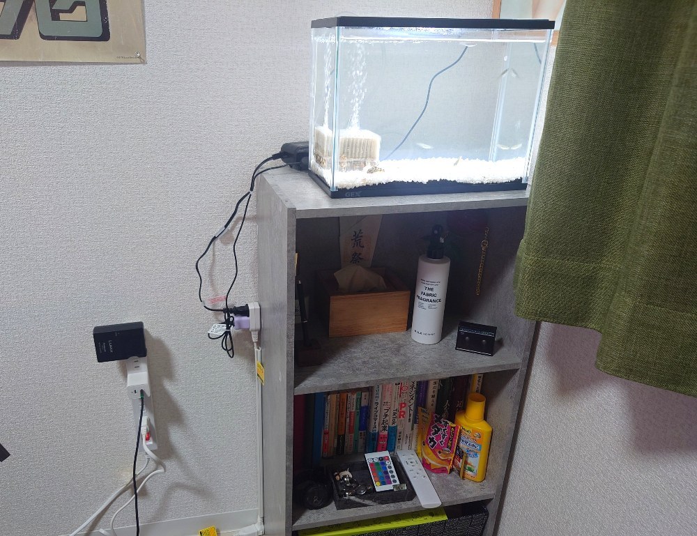 なんちゃってアクアリウム