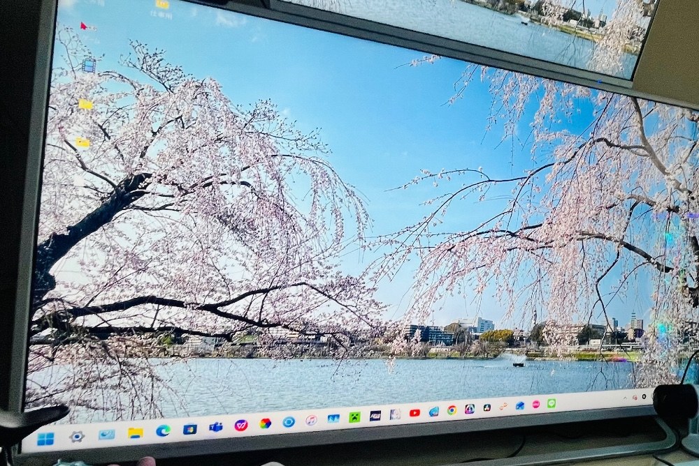 レビュー写真1