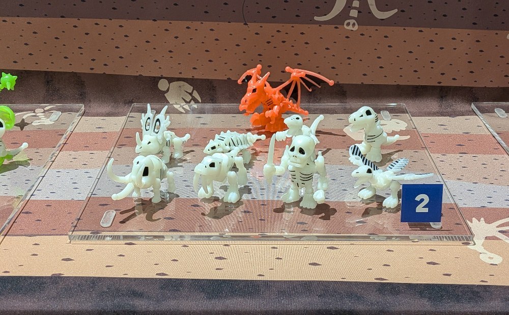 今まで発売してきたほぼすべてのほねほねザウルスが展示されいた。