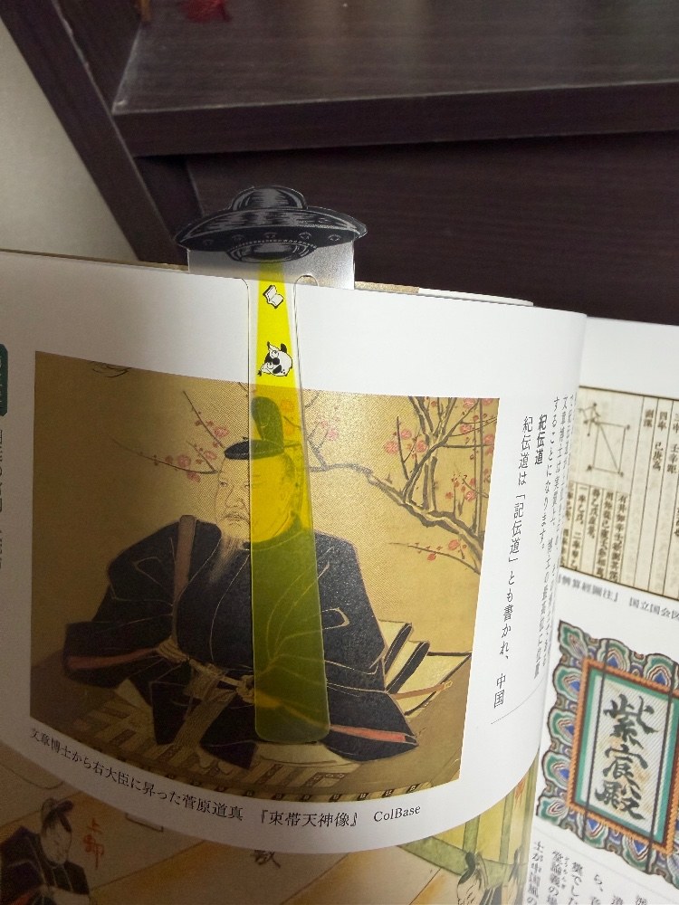 本に差し込んでみた