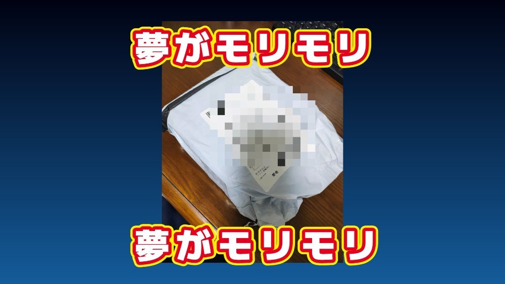 夢が詰まった何か