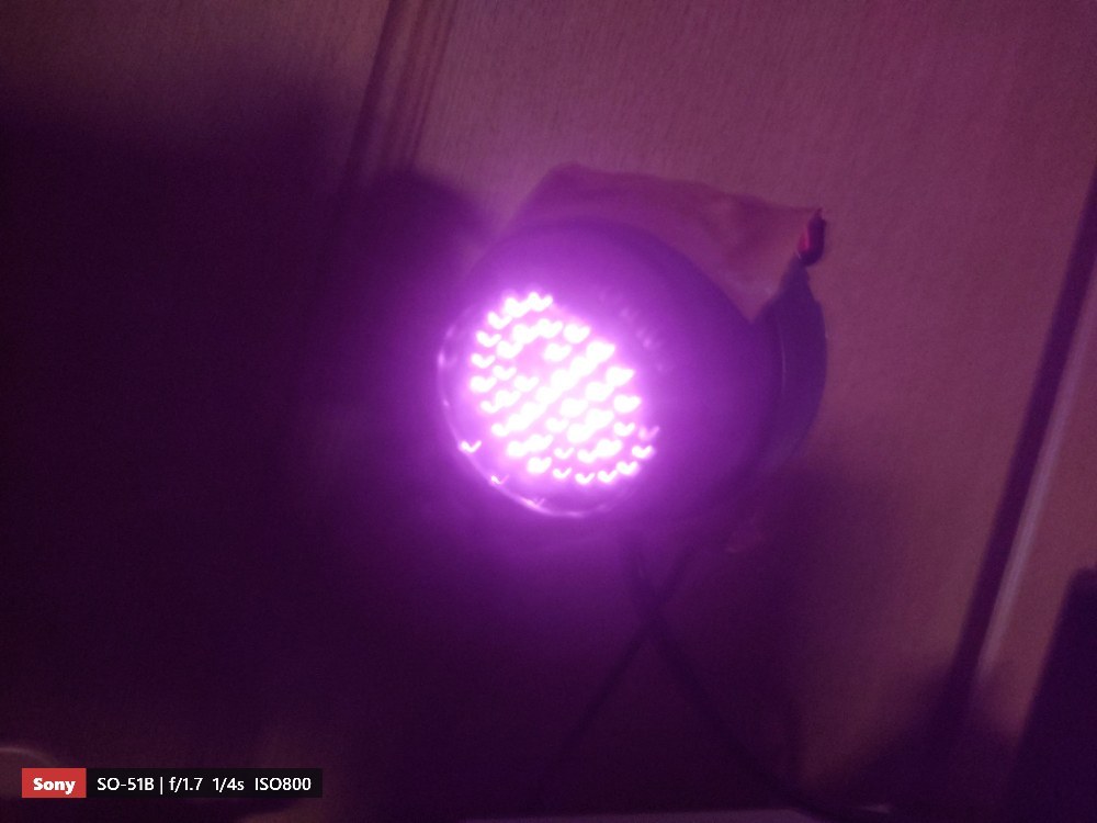 実際に光っている様子