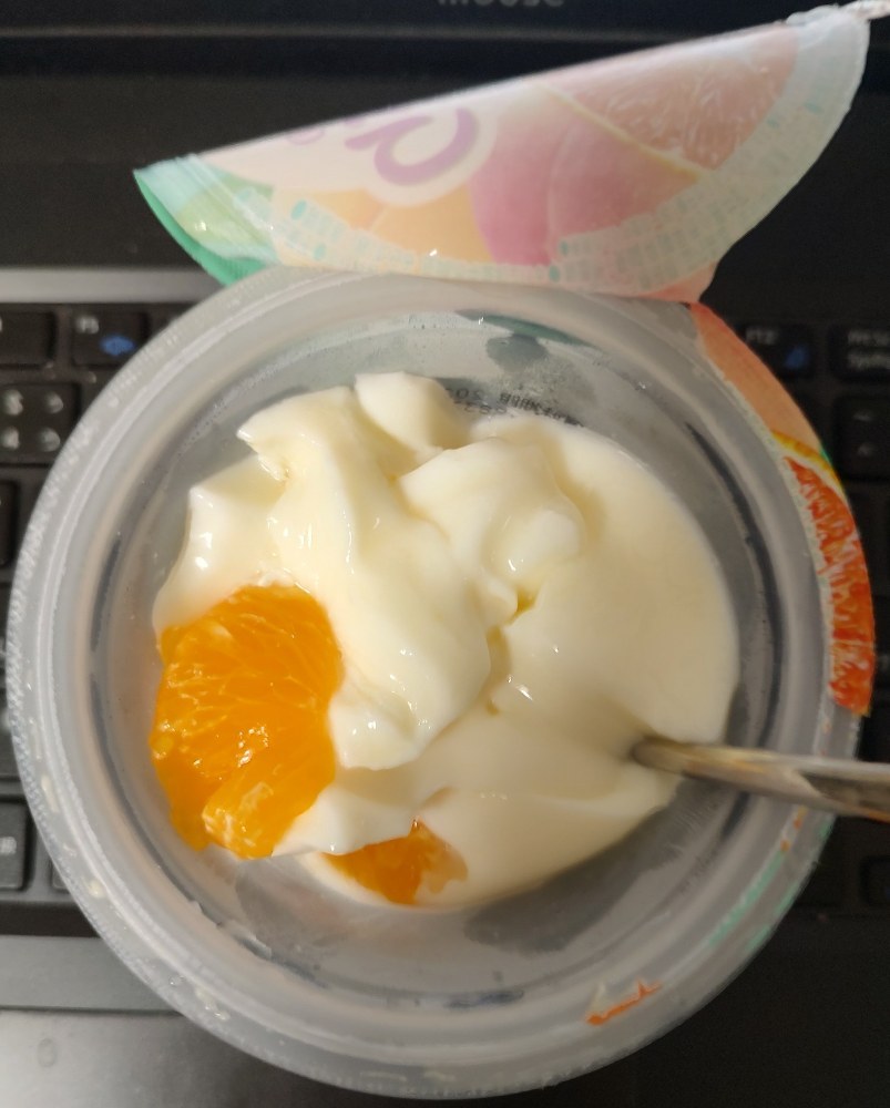 半分ほど食べてみたミックスヨーグルトデザート