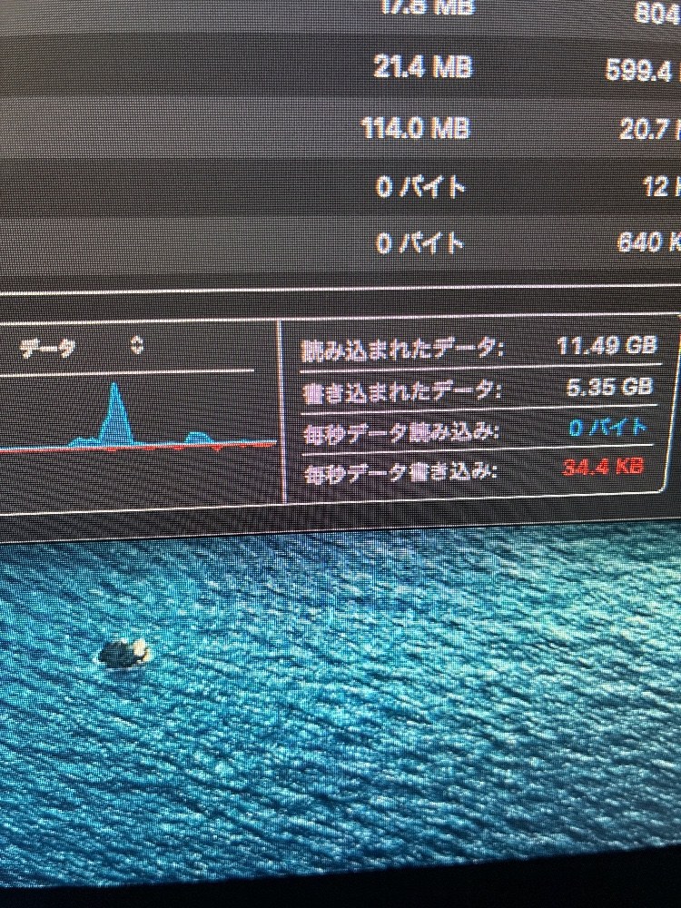 撮りそびれた