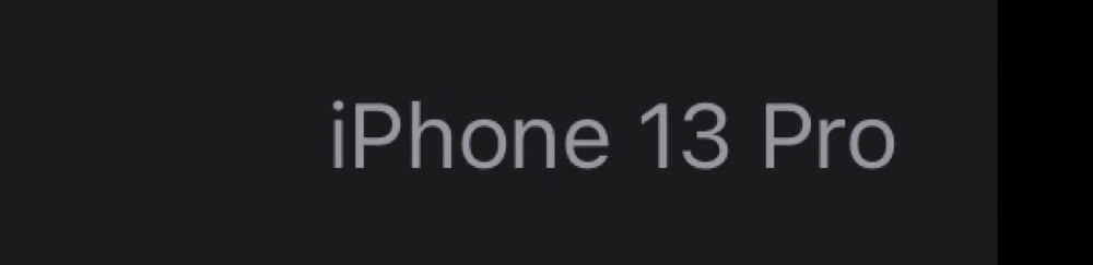 Apple iPhone 13Pro レビュー写真