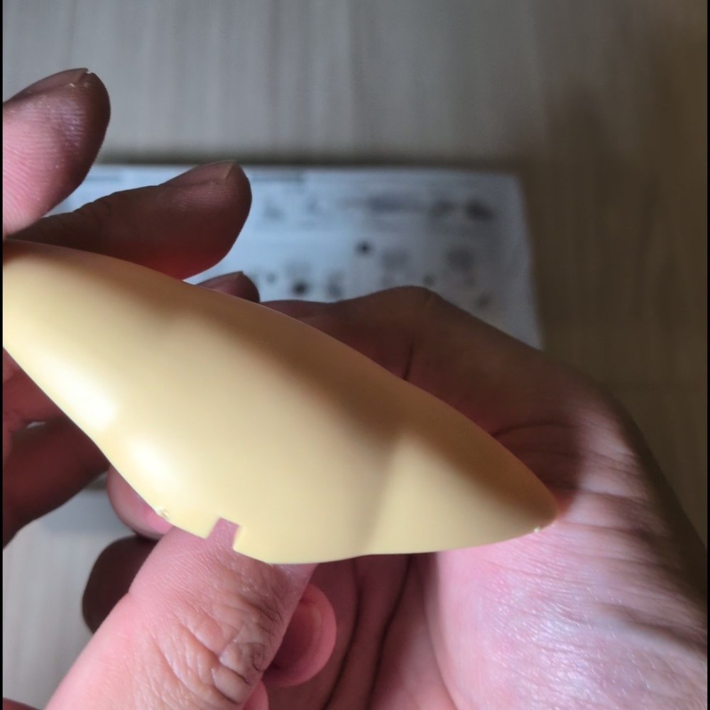 バリは出る