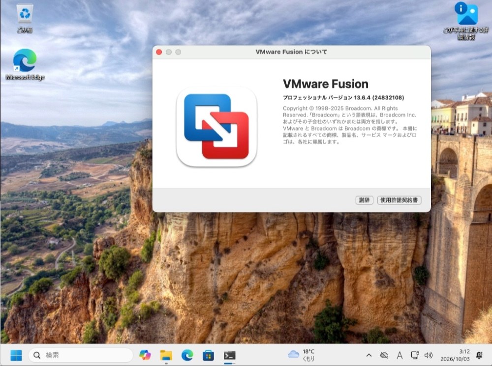 VMware