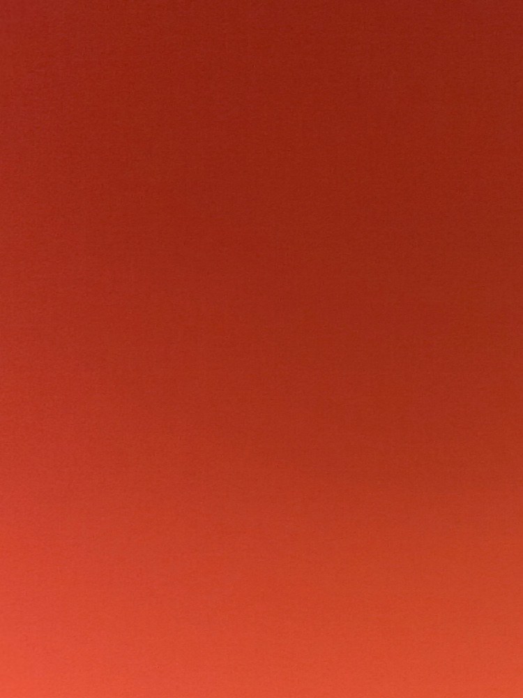 Apple AirPodsPro3 レビュー写真