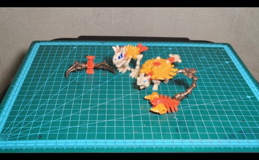 カルノタウルスとサイカニア
