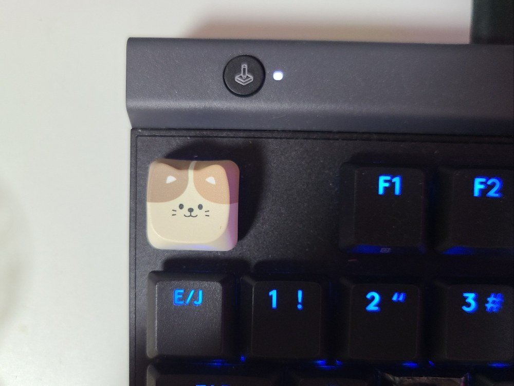装着可能！