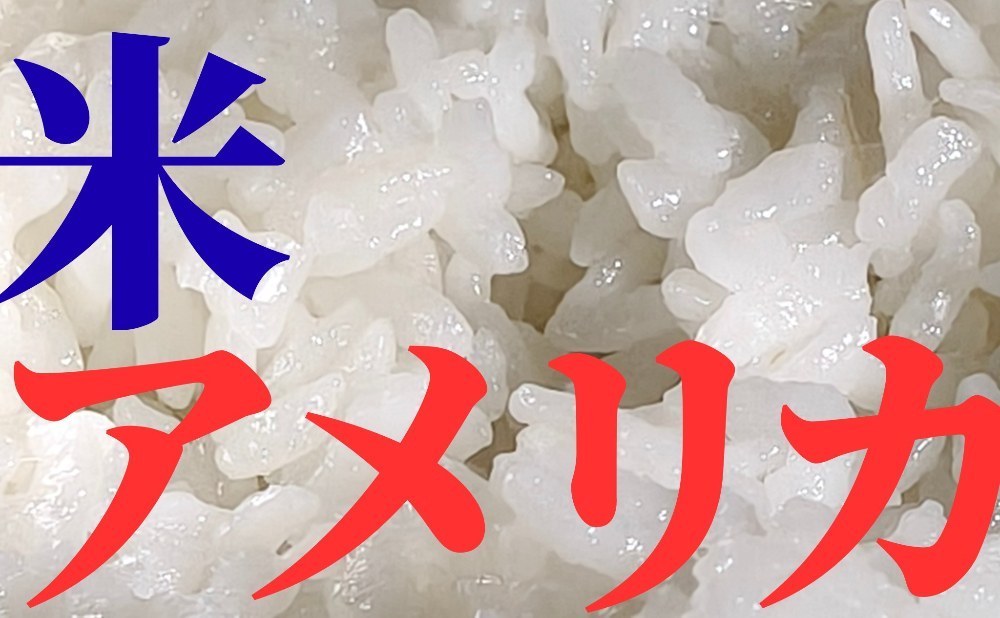 トランプ政権傘‼️炊きたてのカルローズ