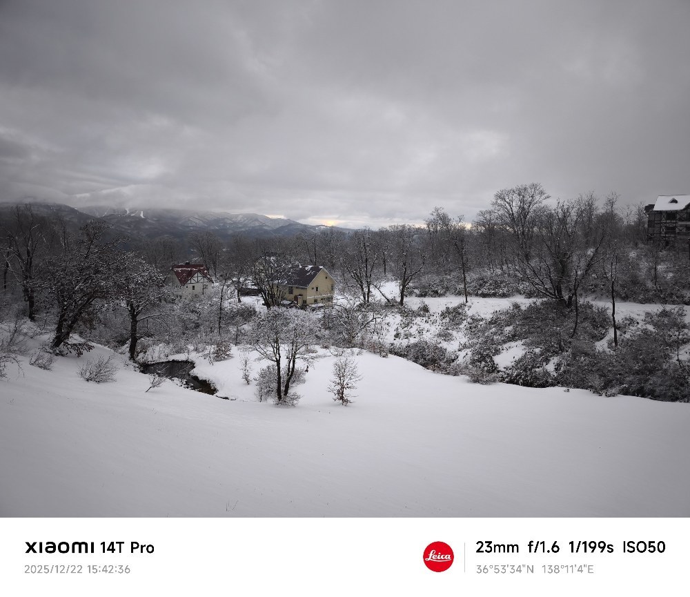 23mm(１倍)
