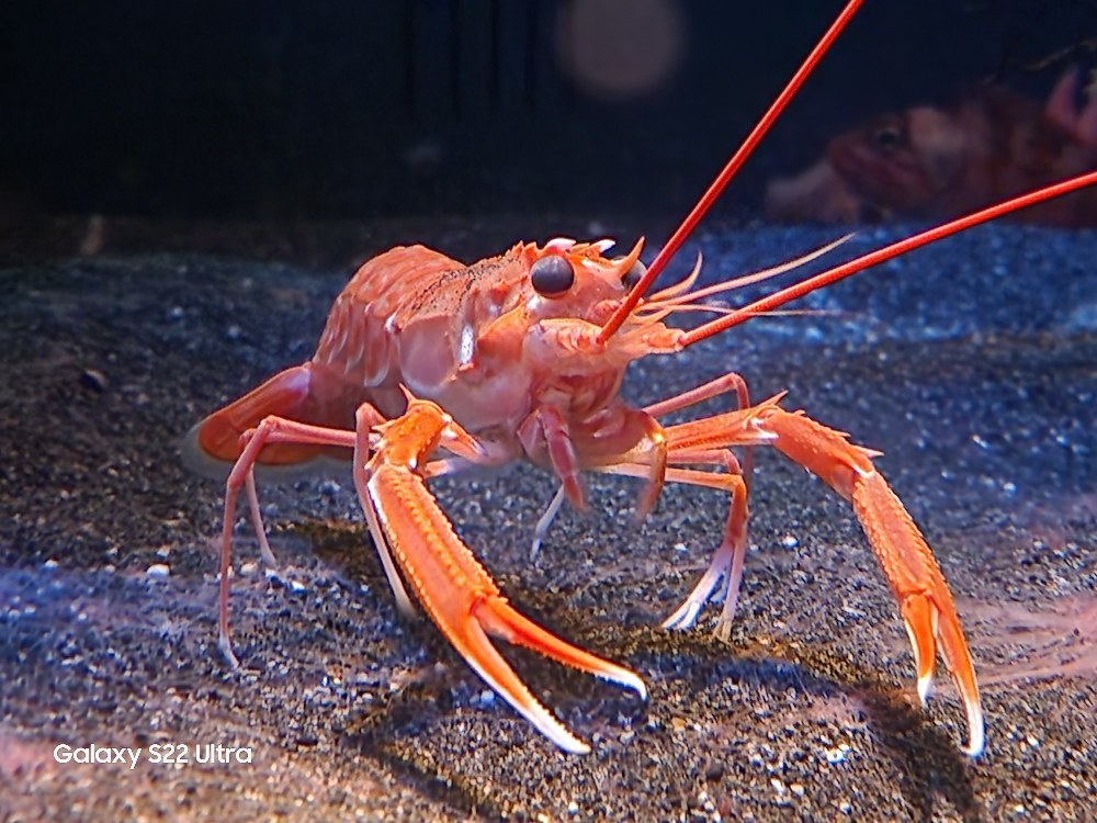 新江ノ島水族館