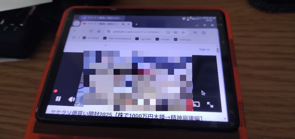 一応モザイク