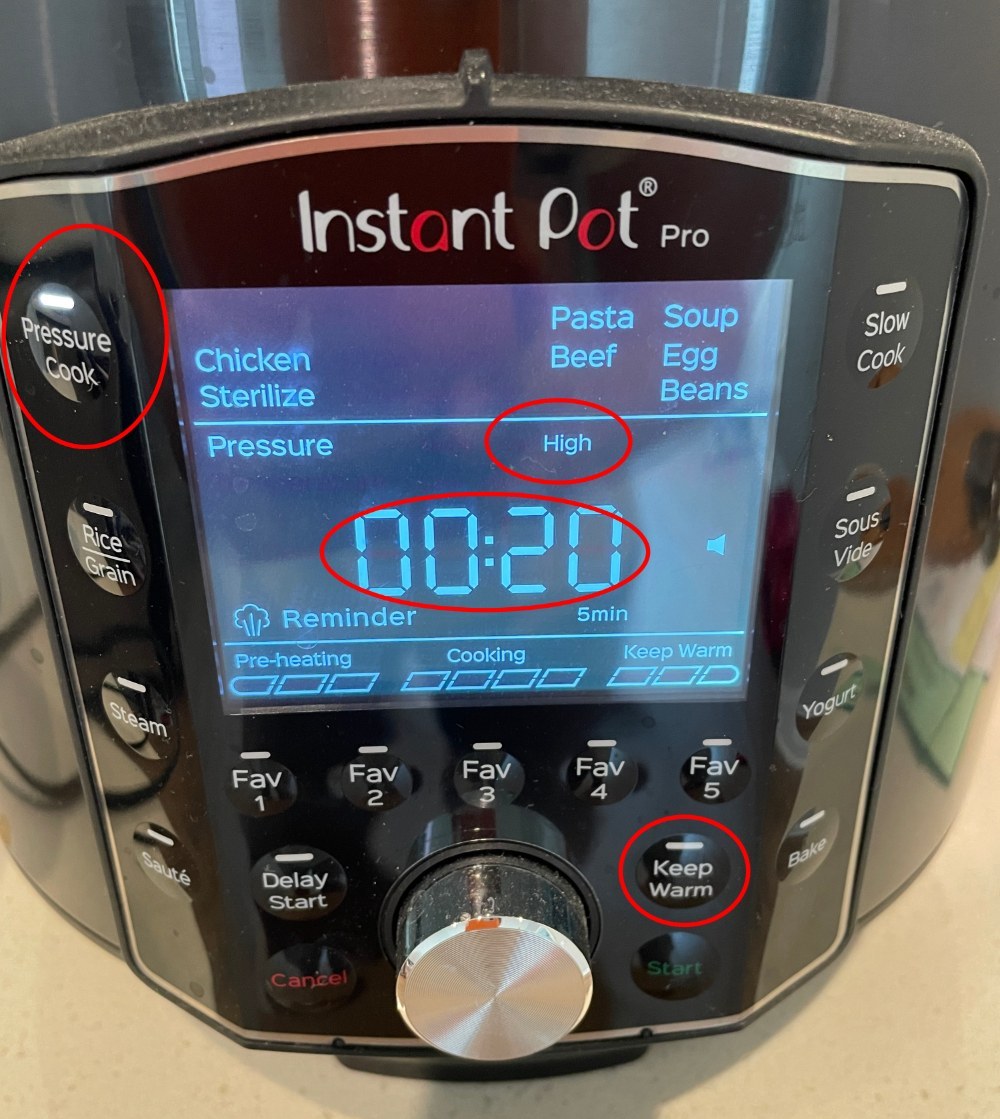 InstantPot Proの設定例。まあどれでも同じだよ