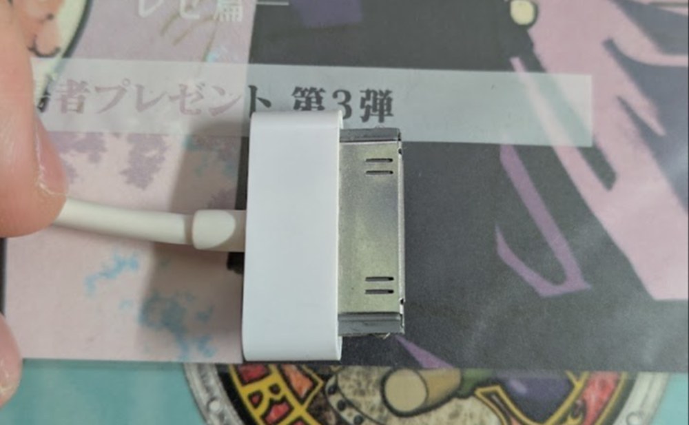 Dockコネクタ。今となっては化石です。