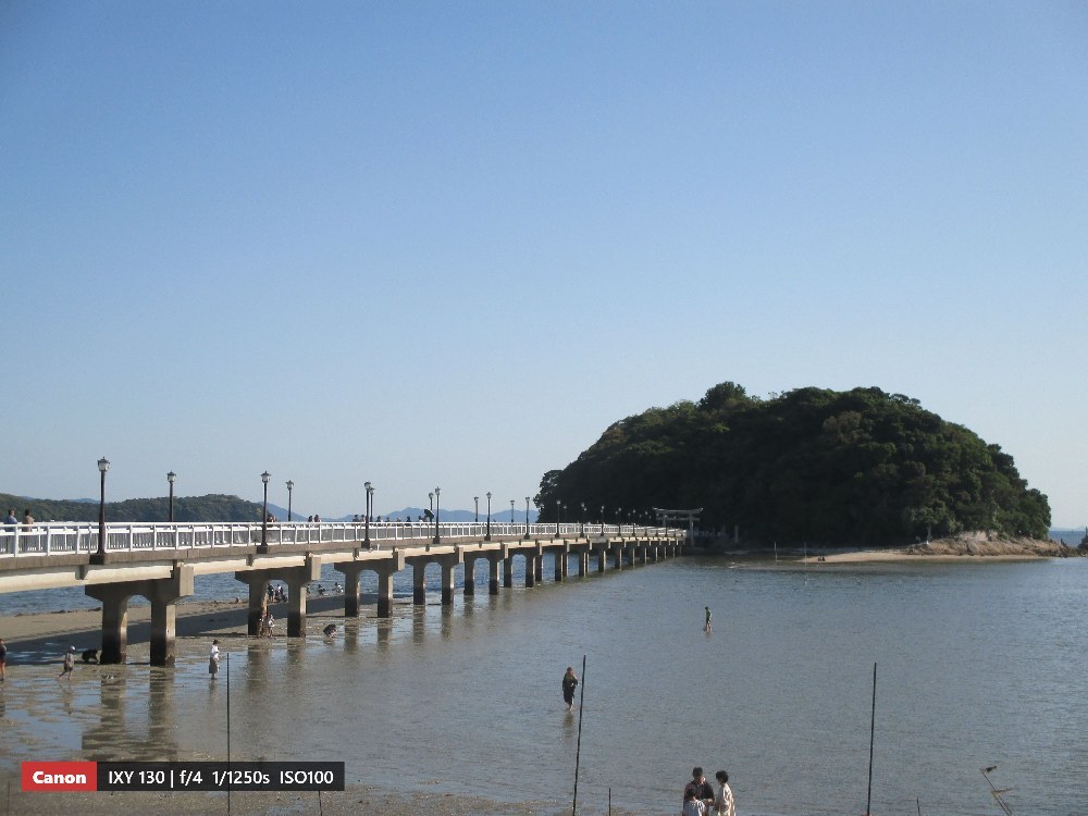 蒲郡のどっかの島
