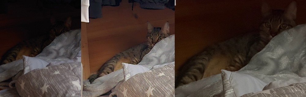 うちの猫さんが部屋の隅に隠れていやがったのでとっさに３つ取り出して撮影。これも光学ズーム。左：Xperiaは見るに耐えません。なぜか 真ん中：Galaxyが一番明るくキレイに？  右：iphoneちょいと荒くね？って感じ。焦ってとったのもあるが。