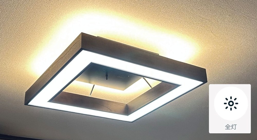 間接照明と蛍光灯的なの(LEDだけど)両方