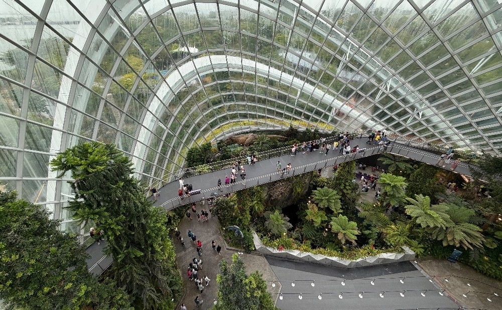 シンガポールの植物園。広さを表現したかった。