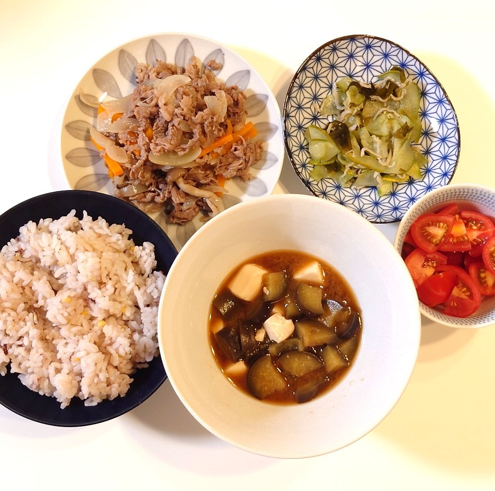 写真：全体像