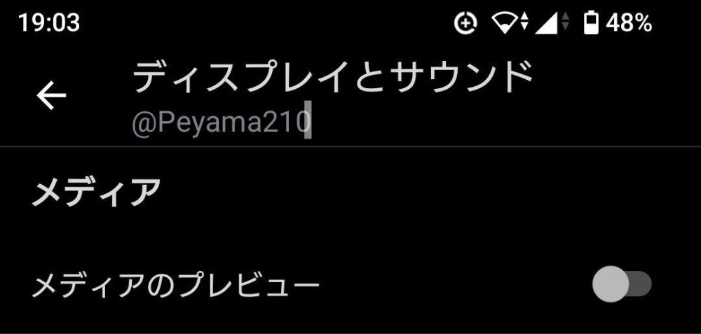 メディアのプレビューの設定項目が復活しました。