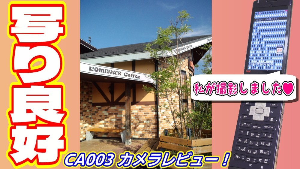 割とやっつけ気味なサムネですいません…